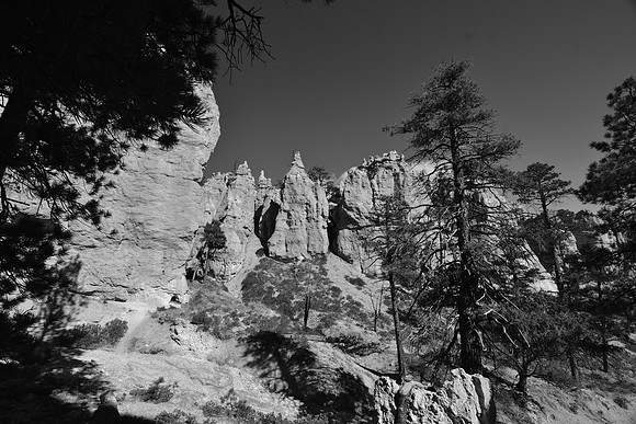 DSC_0245